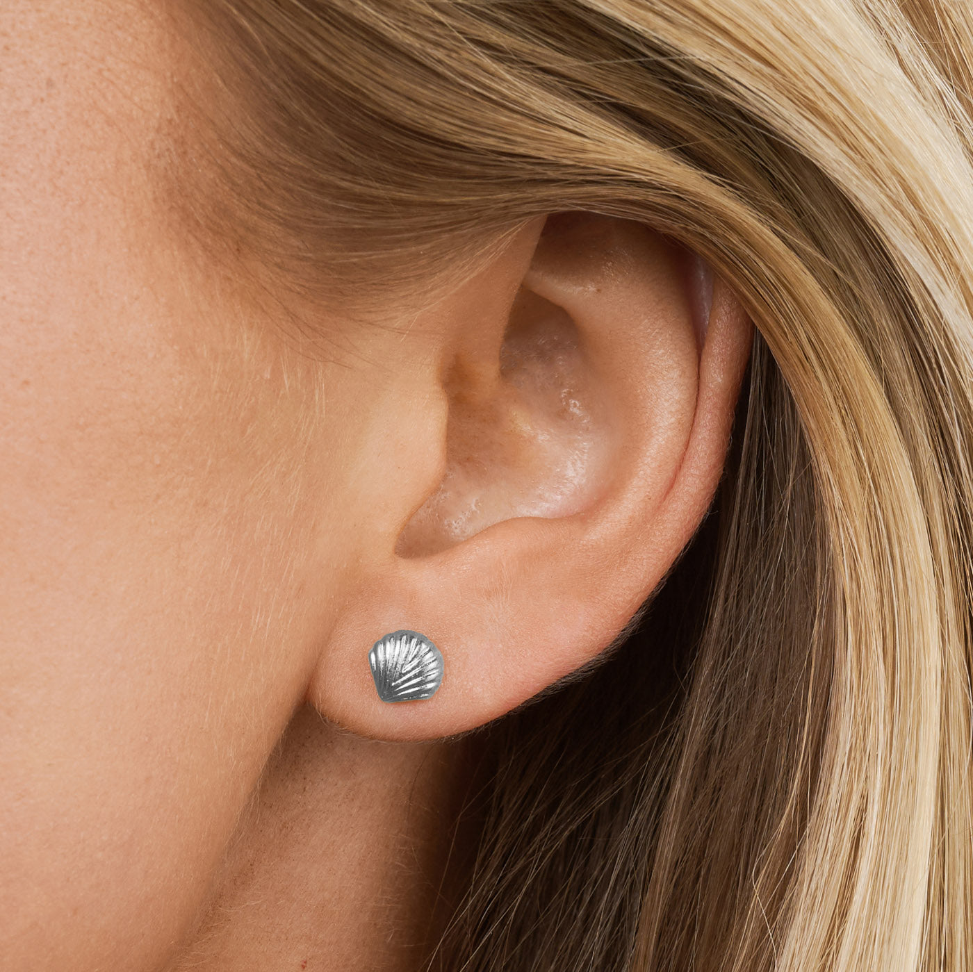 Ane - Seashell Stud Earrings Stainless Steel - Silver