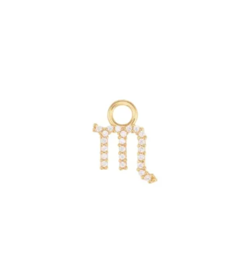 Scorpio charm