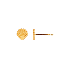 Petit shell earring gold