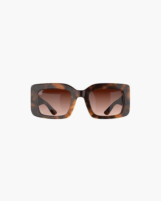 West Tortoise Gradual Brown